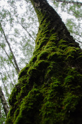 Similar image 21534407