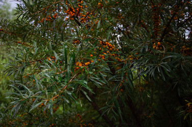 Similar image 21534408