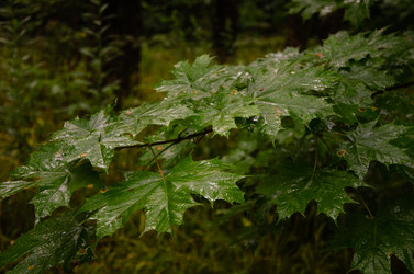 Similar image 21534409