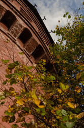 Similar image 21534412