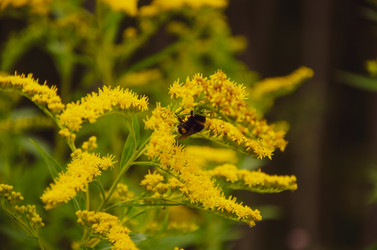 Similar image 21534413