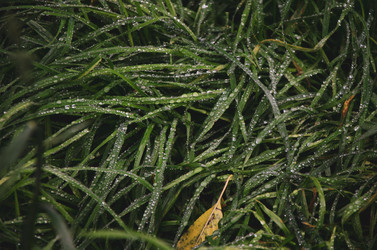 Similar image 21534417