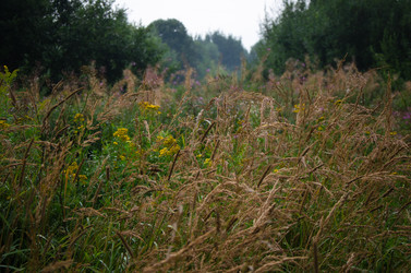 Similar image 21534418