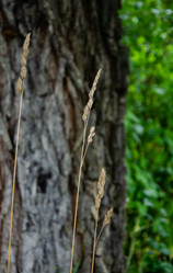 Similar image 21534419