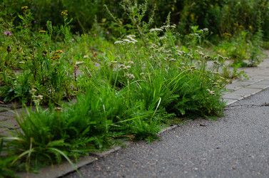 Similar image 21534424