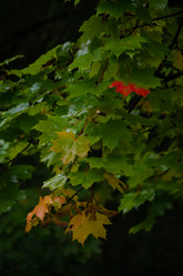 Similar image 21534427