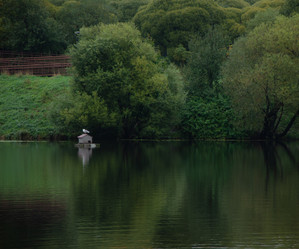 Similar image 21534430