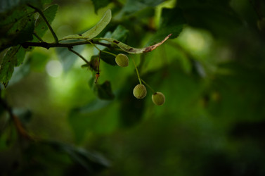 Similar image 21534431