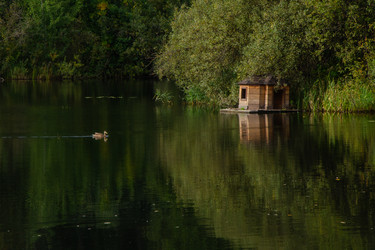 Similar image 21534432