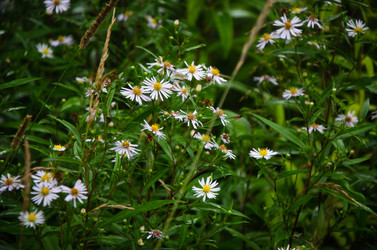 Similar image 21534434