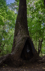 Similar image 21534437