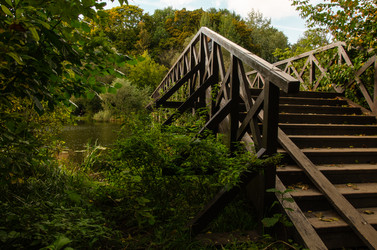 Similar image 21534438