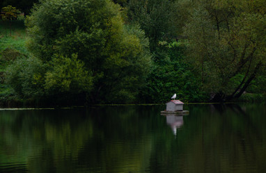 Similar image 21534439