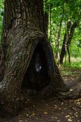 Similar image 21534440