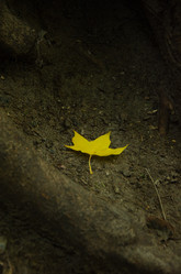 Similar image 21534443