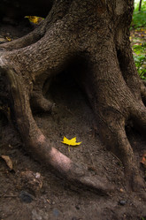 Similar image 21534444