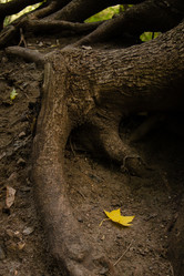 Similar image 21534446