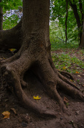 Similar image 21534448