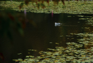 Similar image 21534450