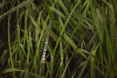 Similar image 21534451