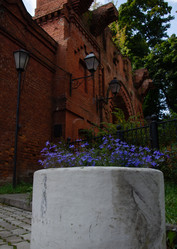 Similar image 21534454