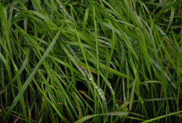 Similar image 21534456