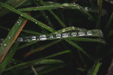 Similar image 21534457