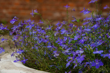 Similar image 21534458