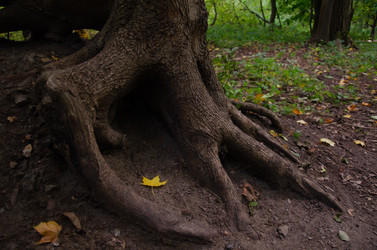 Similar image 21534460