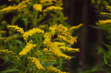 Similar image 21534462