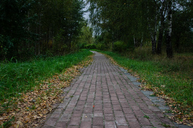 Similar image 21534463