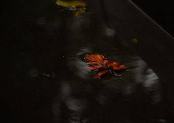 Similar image 21534464