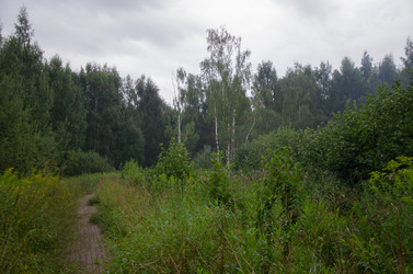 Similar image 21534465