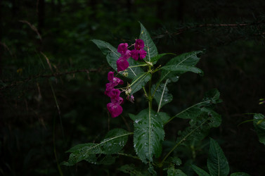 Similar image 21534466