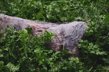 Similar image 21534467