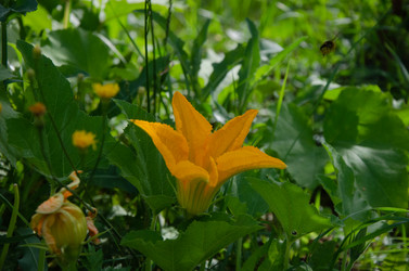 Similar image 21534468