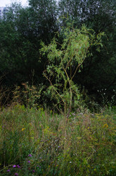 Similar image 21534469