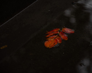 Similar image 21534470