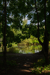 Similar image 21534471