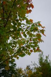 Similar image 21534473