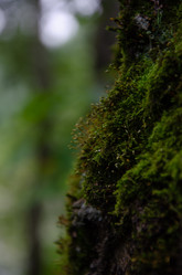 Similar image 21534475