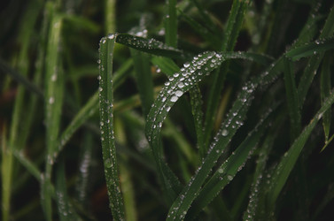 Similar image 21534477