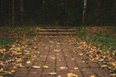 Similar image 21534319