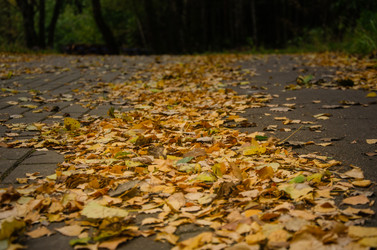 Similar image 21534320