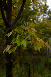 Similar image 21534322