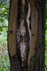 Similar image 21534324