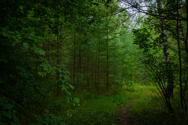 Similar image 21534325