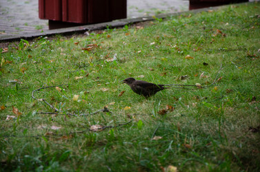 Similar image 21534328