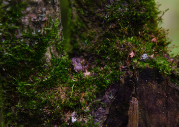 Similar image 21534329