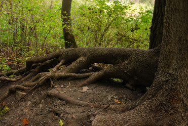 Similar image 21534330